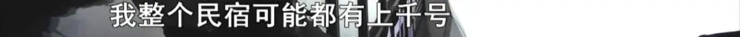 DƬ
